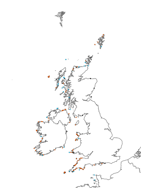 Distribution of habitat IR.HIR.KFaR.LhypRVt <I>Laminaria hyperborea</I> and red seaweeds on exposed vertical rock