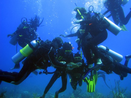 An example of the TCRF's efforts to educate TCI youth about the importance of the local marine environment.