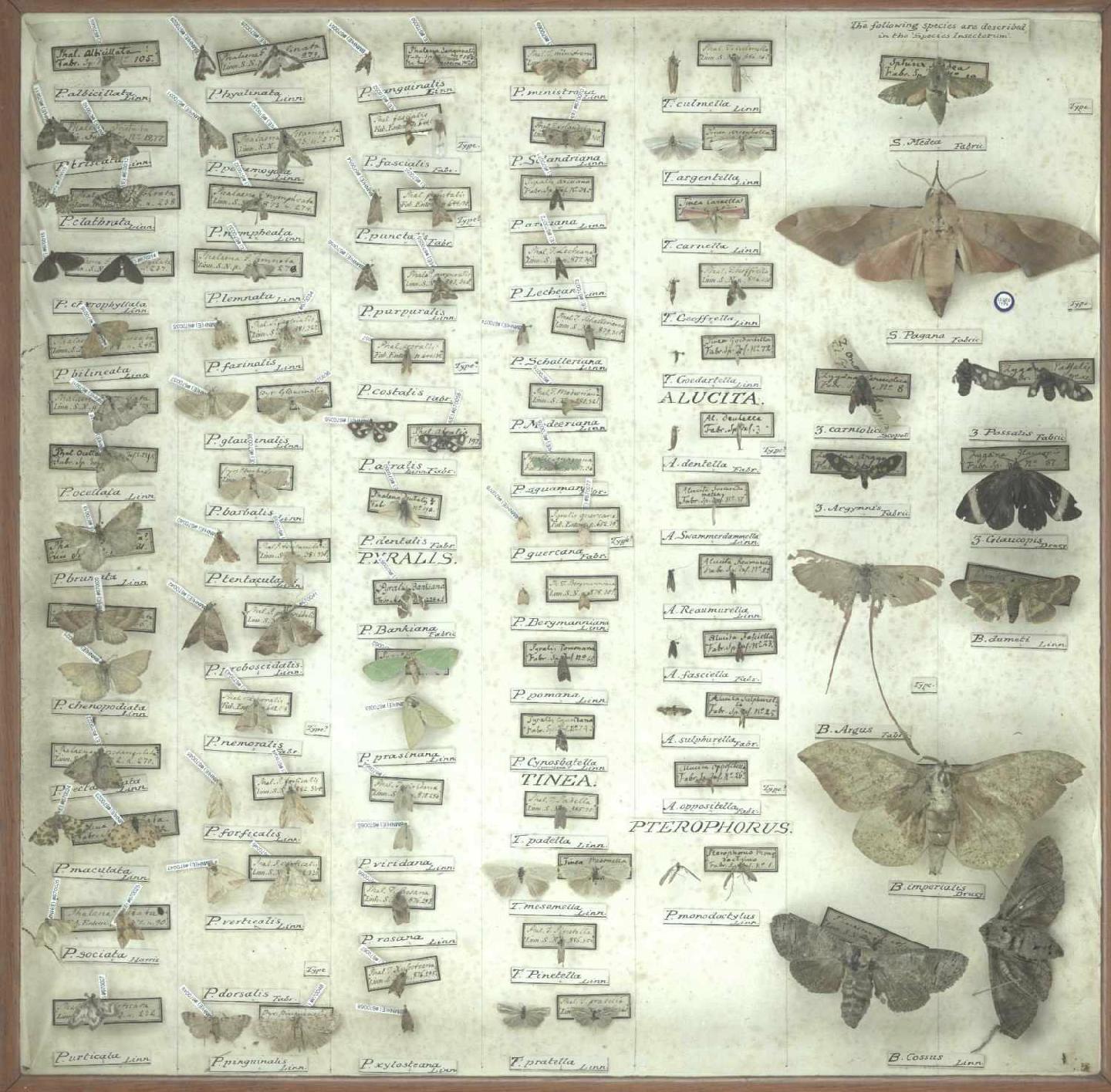 Banks Collection:  drawer 18