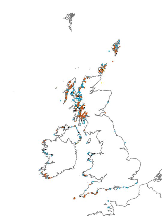 Distribution of habitat IR.LIR.K Silted kelp communities (sheltered infralittoral rock)