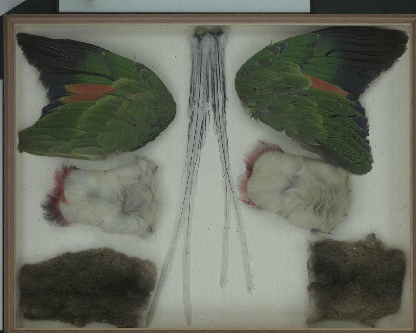Wallace Collection:  drawer 29