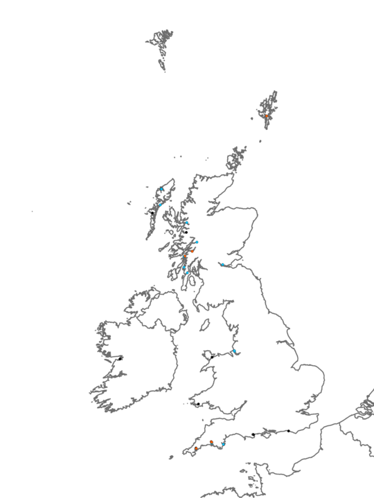 Distribution of habitat IR.LIR.IFaVS Faunal communities on variable or reduced salinity infralittoral rock