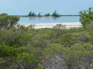 Little Water Cay