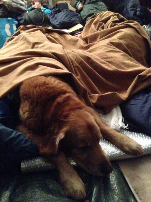 Billy, who accompanied British Council Romania Nigel Bellingham for the #casaioanasleepout event