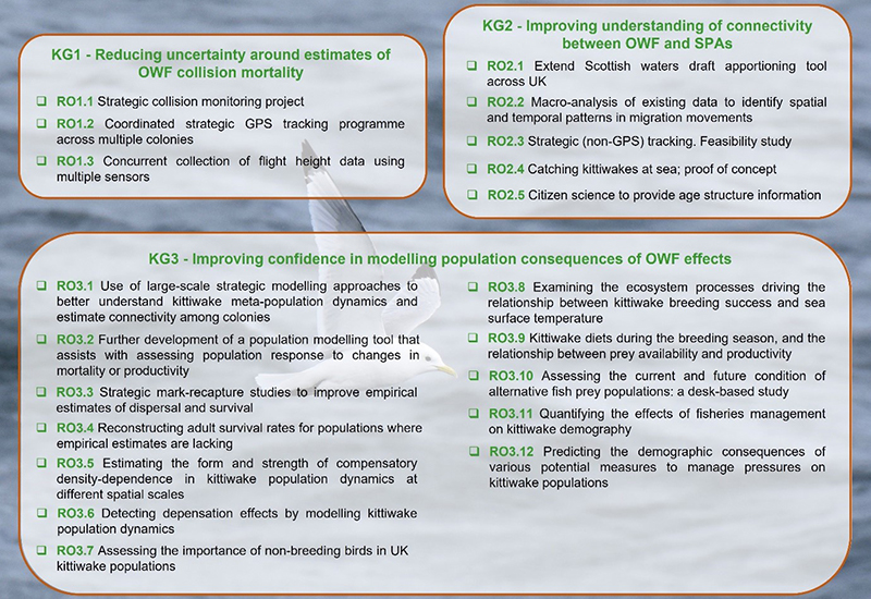 Background photo of a kittiwake flying across the sea, overlaid by summaries of the OWSMRF Pilot Year Research Opportunities