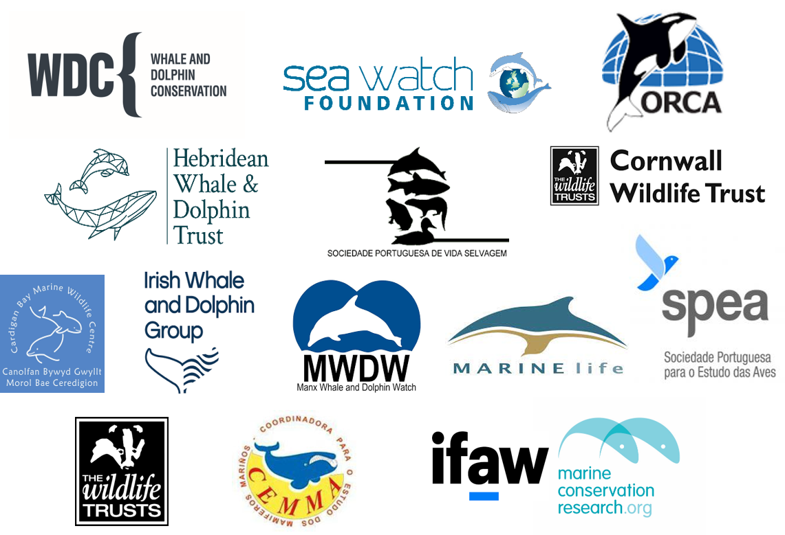 JCDP Non-Government Organisation logos: Hebridean Whale and Dolphin Trust, ORCA, Sea Watch Foundation, Whale and Dolphin Conservation, Irish Whale and Dolphin Group, Sociedade Portuguesa de Vida Selvagem, Sociedade Portuguesa para o Estudo das Aves, Coordinadora para o Estudo dos Mamíferos Mariños,  The Wildlife Trusts, Cornwall Wildlife Trust, Cardigan Bay Marine Wildlife Centre, Manx Whale and Dolphin Watch, Marine Life, International Fund for Animal Welfare, Marine Conservation Research