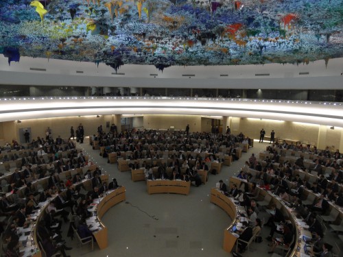 The Council votes. Photograph by Peter Hall.