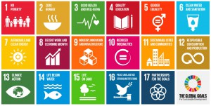 The 17 Sustainable Development Goals were agreed by 193 countries in New York last week.