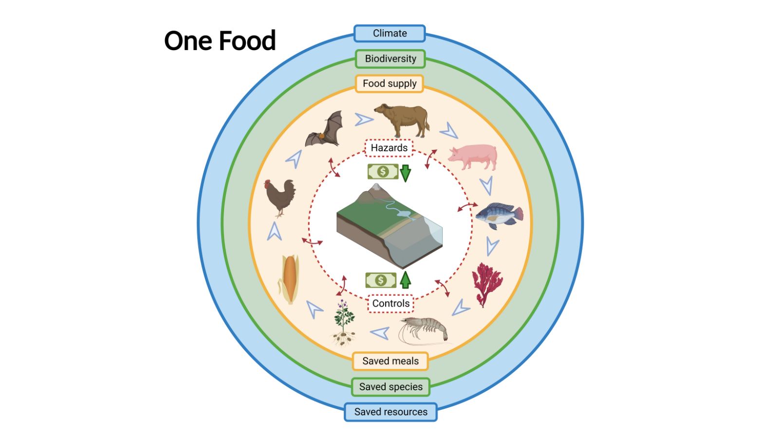 One Food Programme: key achievements and impact