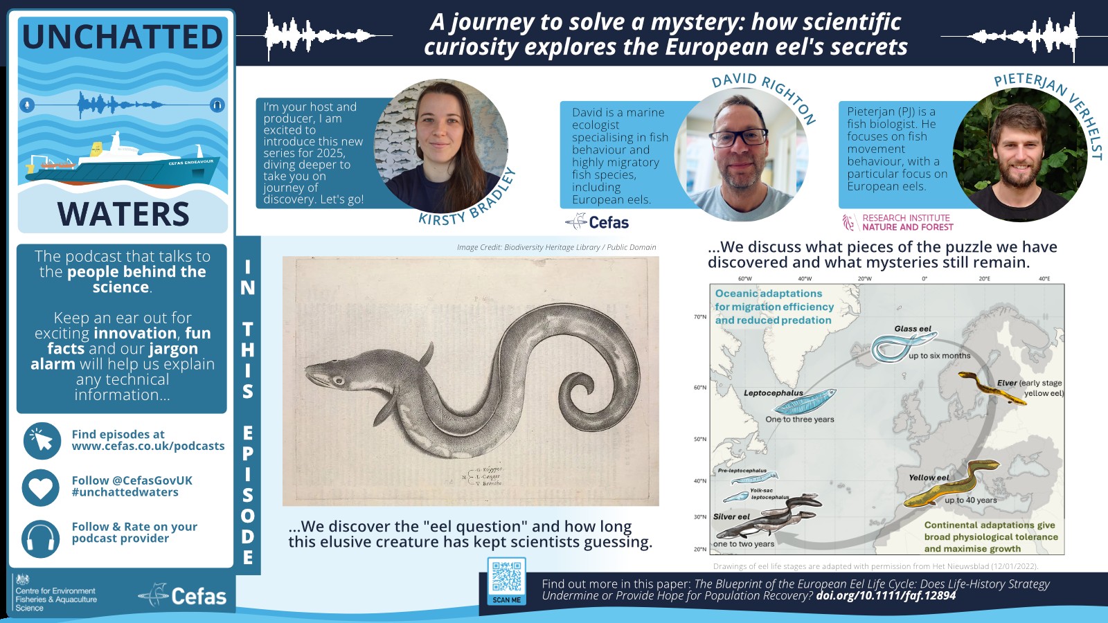 Eel podcast announcement with a picture of the guests and drawing of an eel to say "A journey to solve a mystery: how scientific curiosity explores the European eel's mystery"