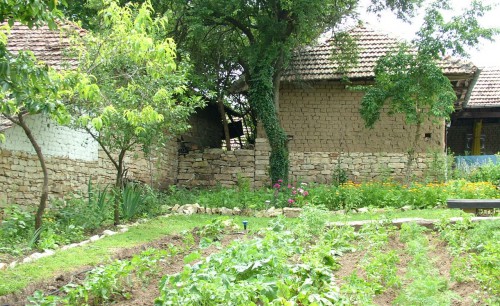 Kris's vegetable garden