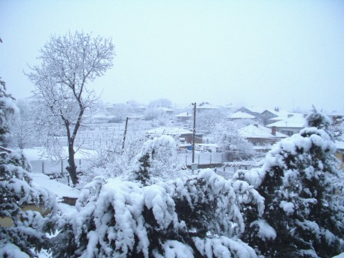 Winter in the village