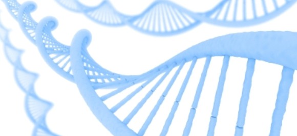 DNA (Photo: The Synthetic Biology Special Interest Group )