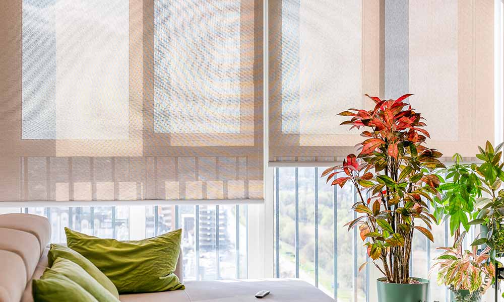 A window with blinds and plants blocking sunlight