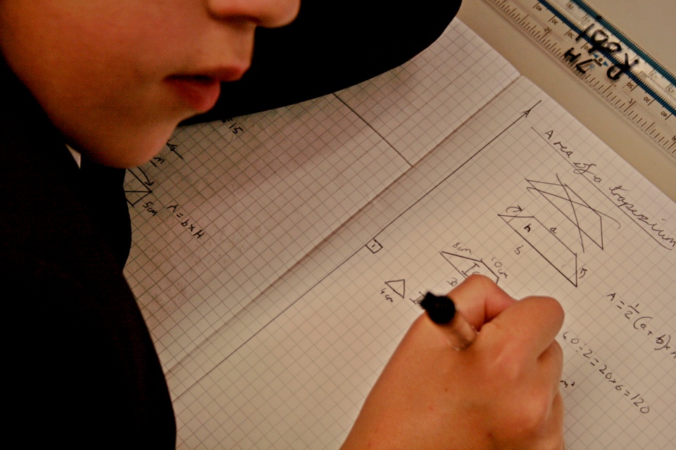 Pupil with exercise book