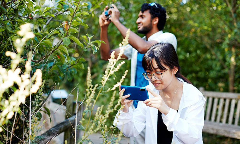 Two people taking photographs of plants with their phones