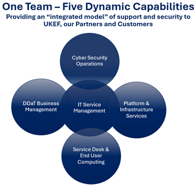 One team - 5 capabilities