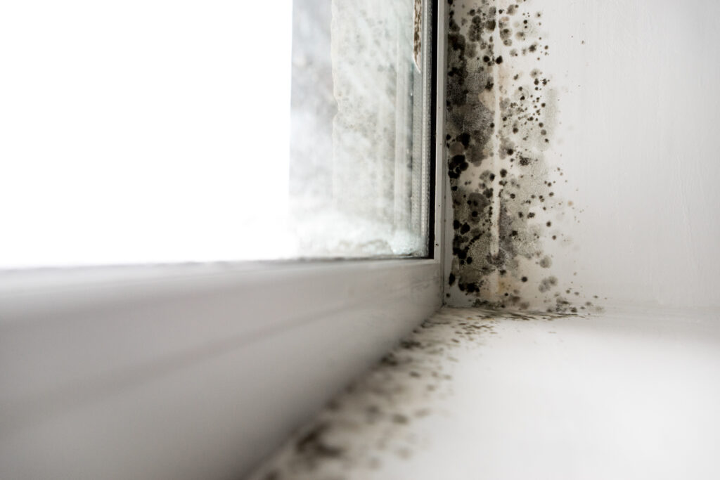 Window frame edged with mould