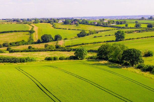 A wide view of rolling countryside with bright green fields divided by hedgerows and trees, patterned with tractor lines in the foreground and scattered trees and farm buildings stretching into the distance under a clear sky.