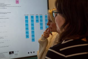 Information architects reviewing a prototype content model