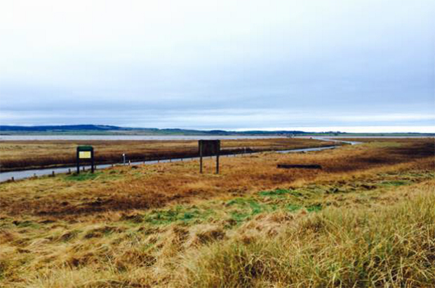 Lindisfarne causeway