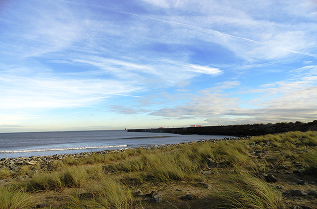 Tees Estuary