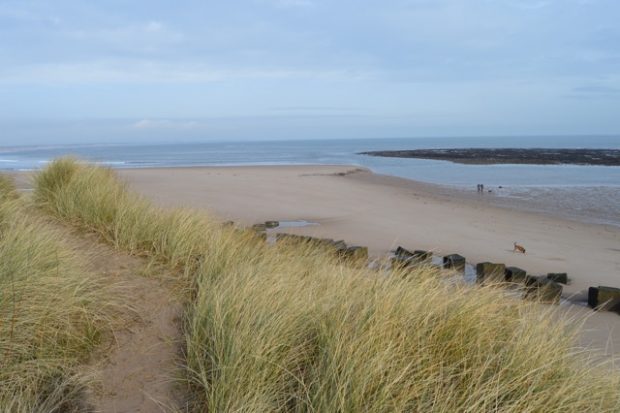 Cresswell beach