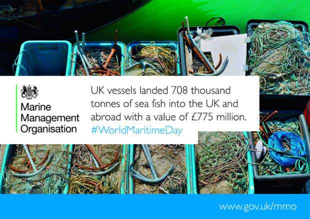 Sea fisheries statistics