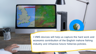Image of computer screen showing II-VMS fishing pings