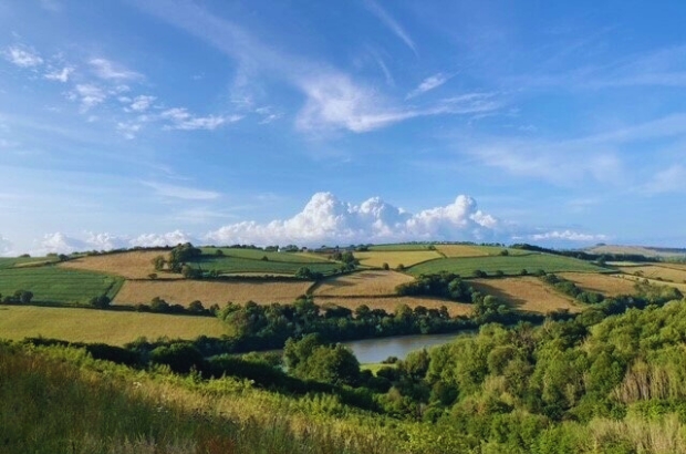 South Downs National Landscape. A patchwork of fields under blue skies.