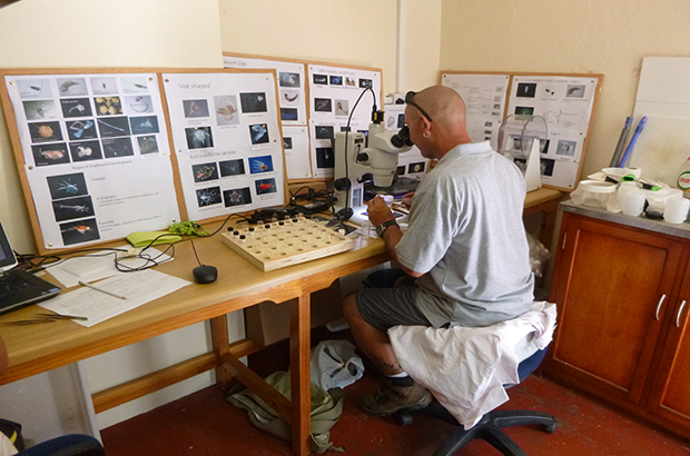 martin cranfield lab work
