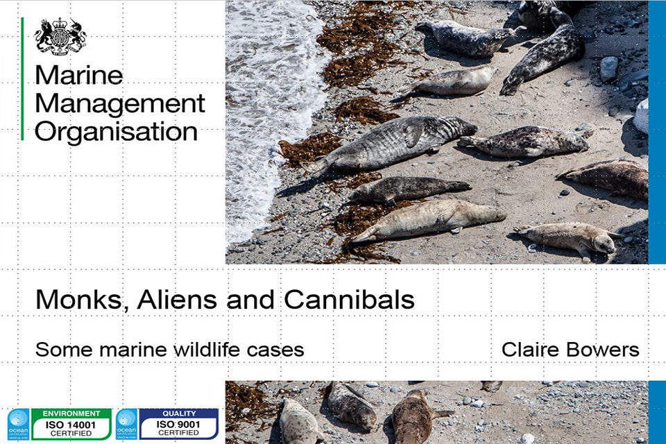 wildlife crime presentation slide