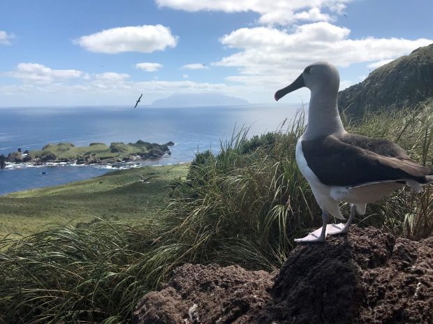 View of Tristan da Cunha from Nightingale Island.