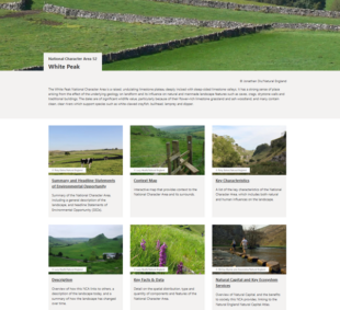An example of how NCA profile content can be accessed from the new website