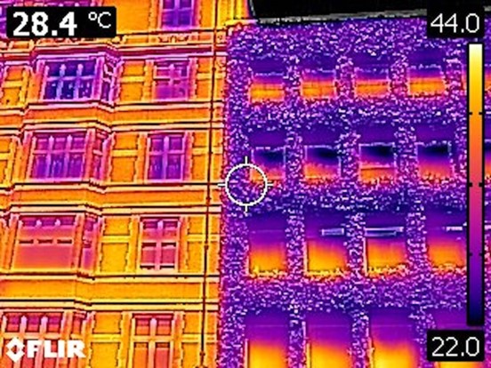 An infrared image showing the difference between two buildings, one with green canopy and one without. There is a clear difference in colour, with the green canopy building being much cooler.