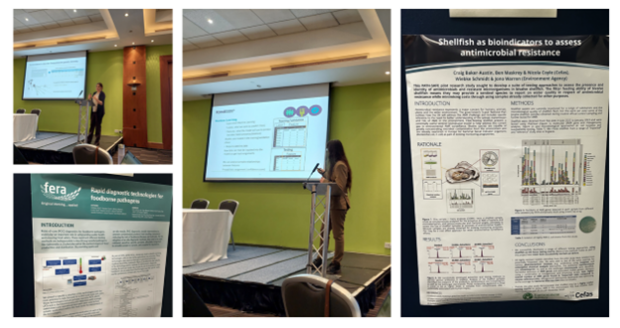 composite of four images featuring PATH-SAFE posters and people presenting powerpoints