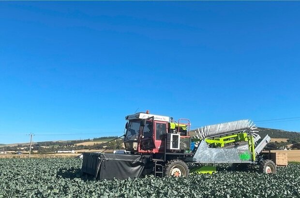 A robotic broccoli harvester in a field under a clear blue sky. The machine, designed for automated harvesting, is surrounded by rows of mature broccoli plants with hills and farmland in the background.
