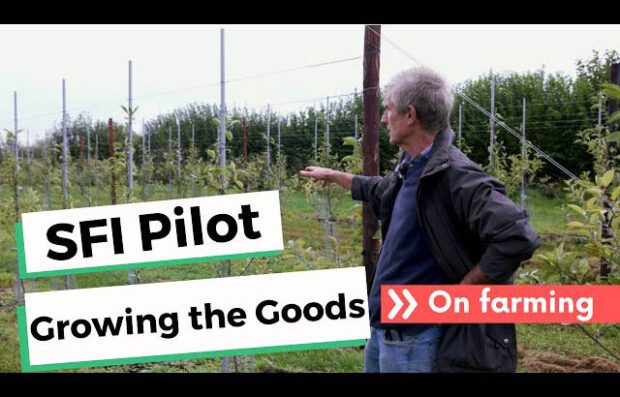 Growing-the-goods thumbnail