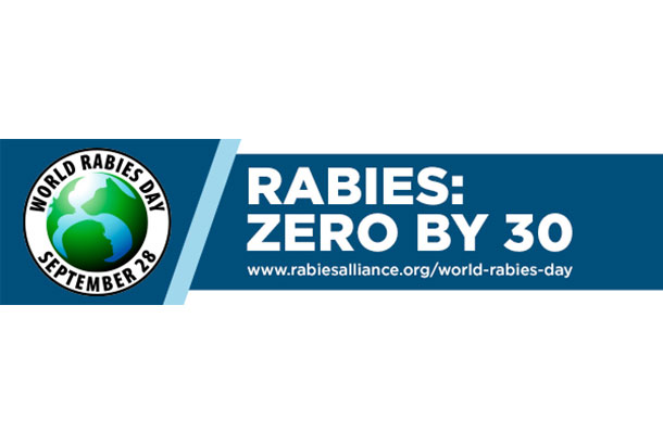 WRD 2017 logo