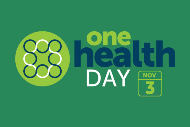 One Health Day logo - November 3rd