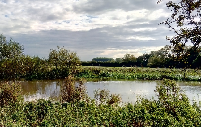 View of a river