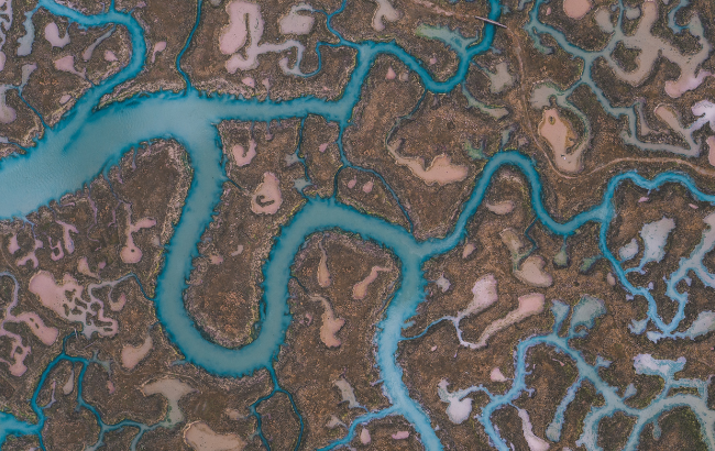 Aerial view of saltmarsh on the Essex coast.