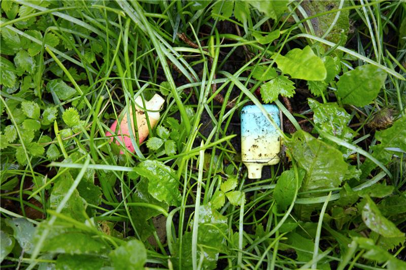 image of two reusable vapes littered in grass