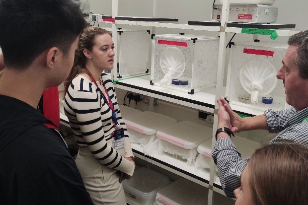 Image of some students standing in front of boxes with netting