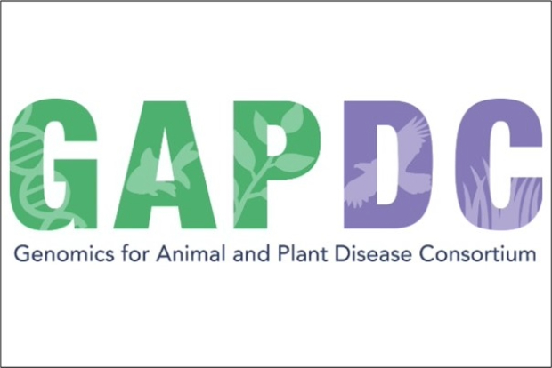 Logo saying, "GAP DC Genomics for Animal and Plant Disease Consortium."