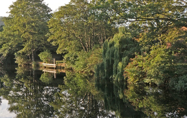 Image shows the River Wensum in Norfolk, with trees along the bank