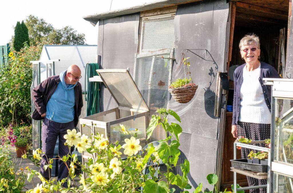 Two people stand on an allotment beside a garden shed and several small greenhouses. Flowering plants with pale yellow blooms fill the foreground, while gardening equipment, planters and a hanging basket are visible around the shed in bright daylight.