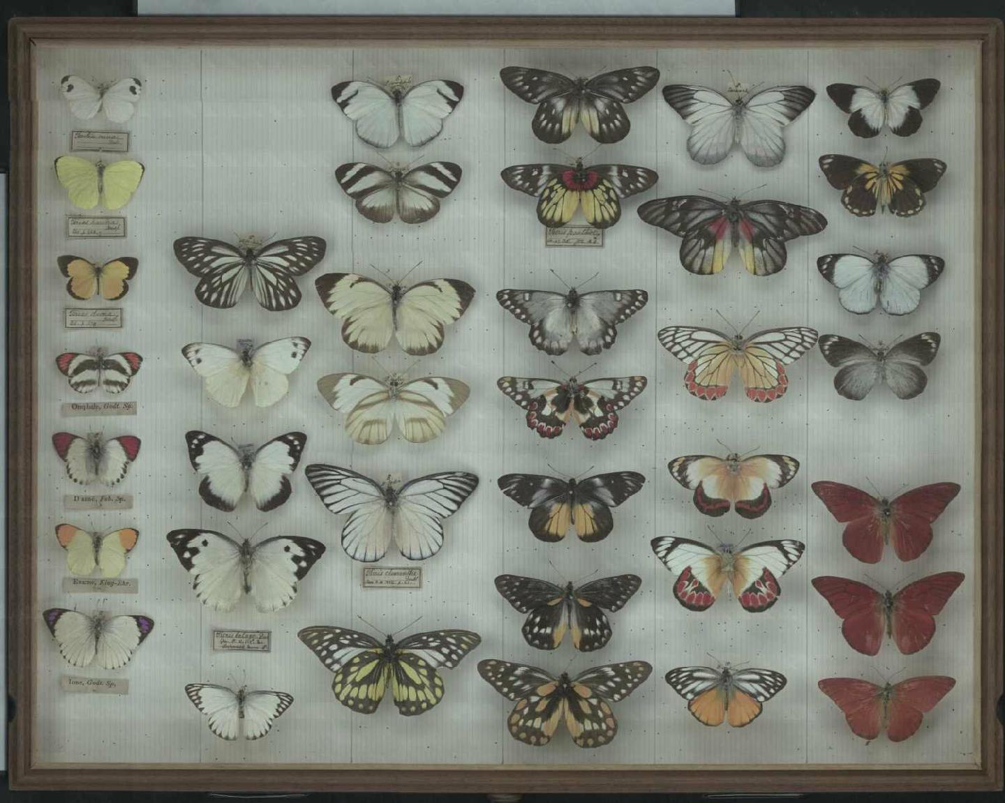 Wallace Collection:  drawer 9