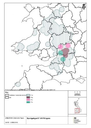 Blank and white line drawing of a map of France with shaded areas.