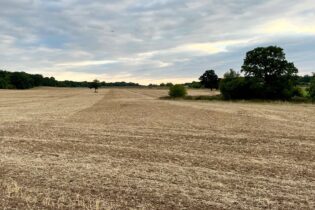 Managing insufficiency (including drought)